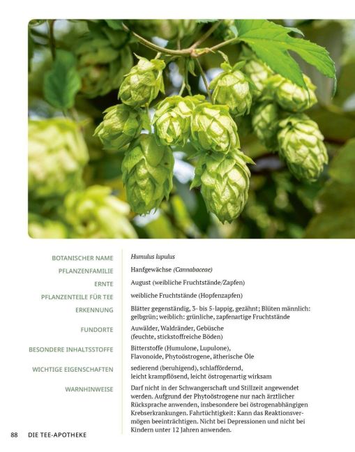 InsideView 12