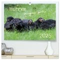Hühner im eigenen Garten (hochwertiger Premium Wandkalender 2025 DIN A2 quer), Kunstdruck in Hochglanz - Nicole Stephan