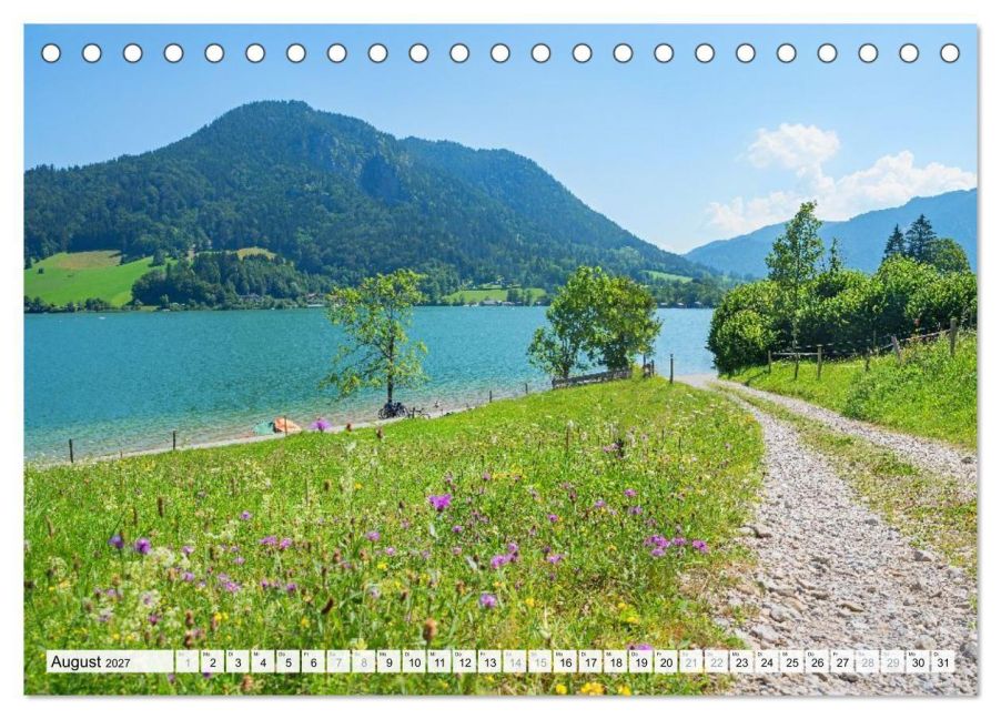 InsideView 13
