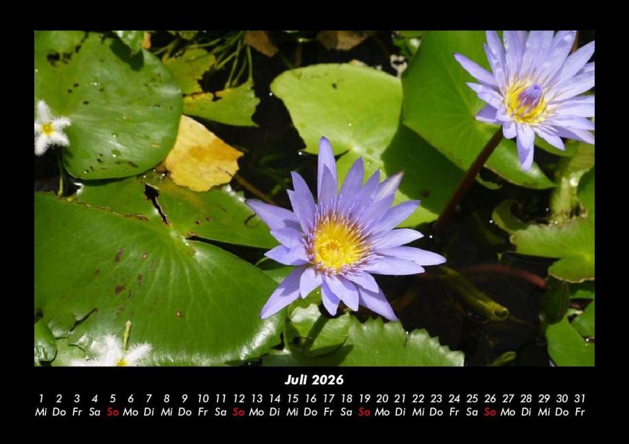 InsideView 11