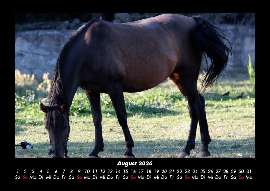 InsideView 12