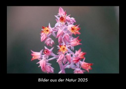 Cover-Bild zum Titel 'Bilder aus der Natur 2025 Fotokalender DIN A3' von 'Tobias Becker'