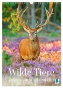 Cover-Bild zum Titel 'Wilde Tiere: Zuhause in Wald und Flur (Wandkalender 2026 DIN A3 hoch), CALVENDO Monatskalender' von 'Calvendo Calvendo'