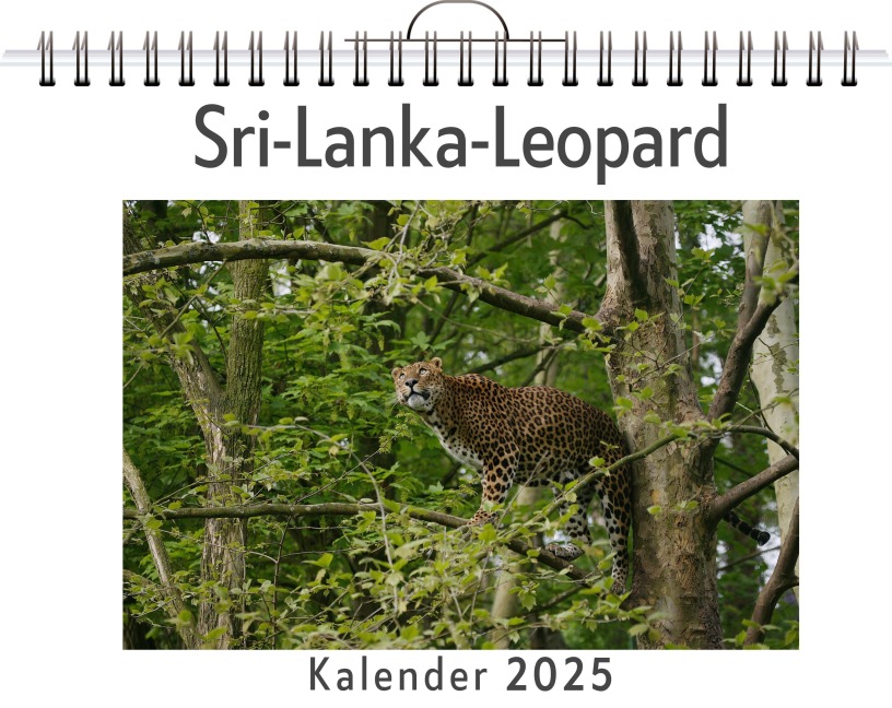 Sri-Lanka-Leopard - Lily Günther