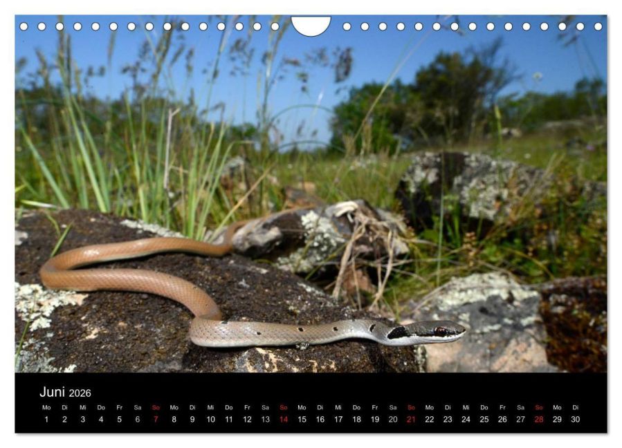 InsideView 11