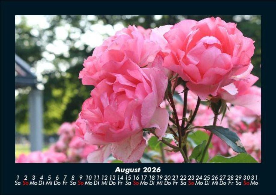 InsideView 12