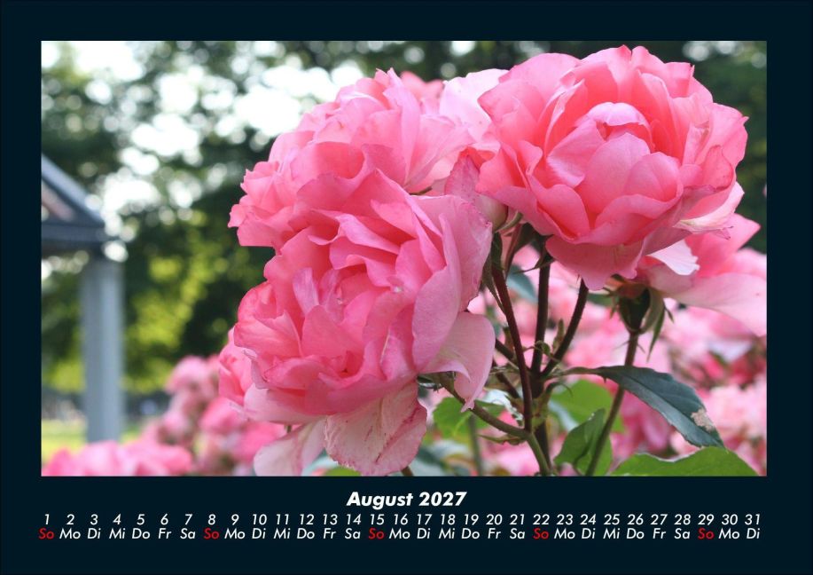 InsideView 12