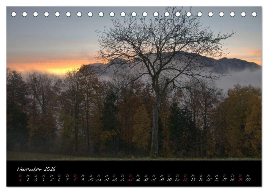 InsideView 3