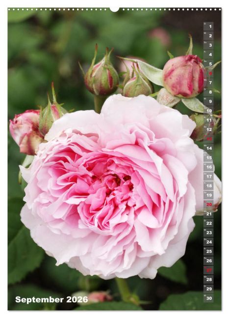 InsideView 13