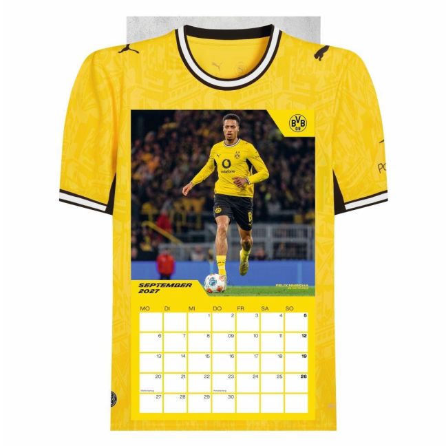 InsideView 9