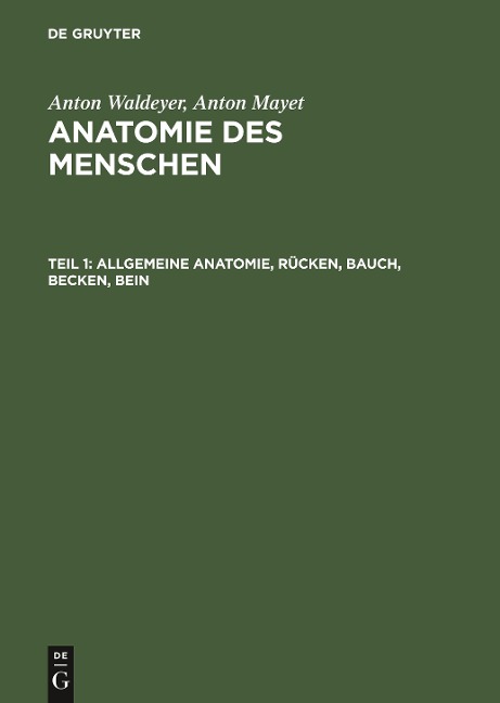 Allgemeine Anatomie, Rücken, Bauch, Becken, Bein - Anton Mayet, Anton Waldeyer