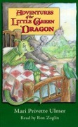 Adventures of the Little Green Dragon - Mari Privette Ulmer