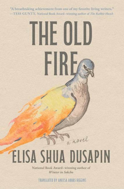 The Old Fire - Elisa Shua Dusapin