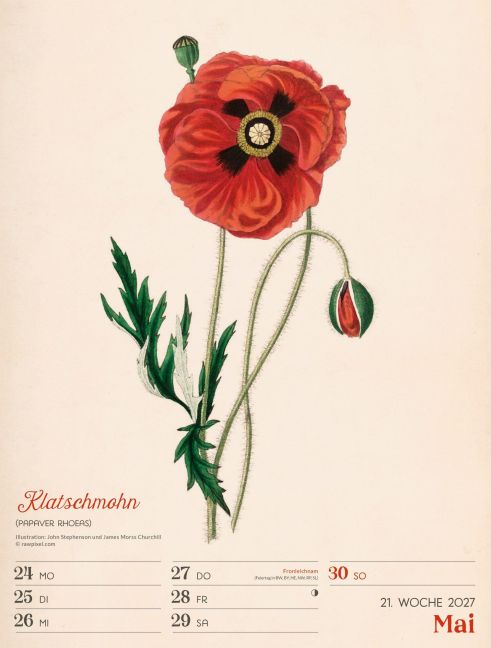 InsideView 25