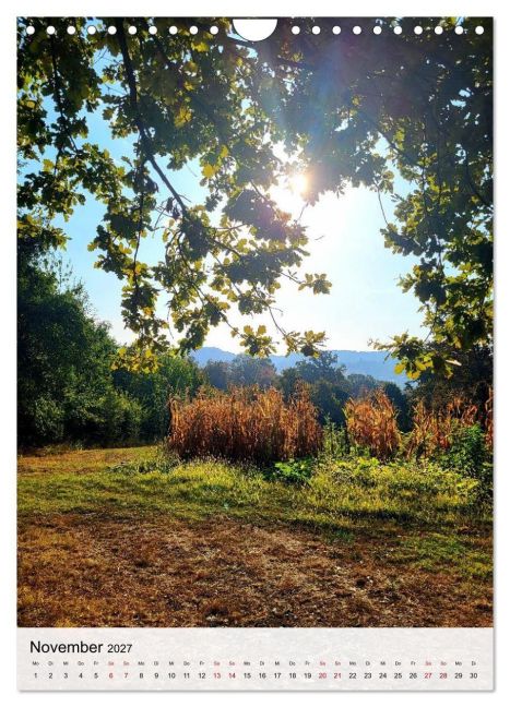 InsideView 3