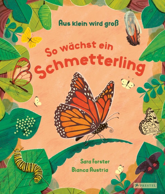 Aus klein wird groß. So wächst ein Schmetterling - Sara Forster, Bianca Austria