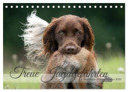 Cover-Bild zum Titel 'Treue Jagdgefährten Der kleine Münsterländer (Tischkalender 2026 DIN A5 quer), CALVENDO Monatskalender' von 'Yvonne Streib'