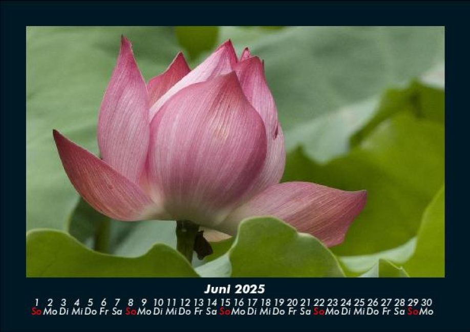 InsideView 10