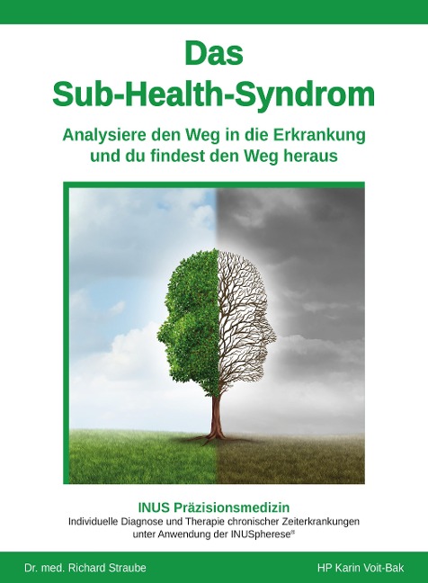 Das Sub-Health-Syndrom - Karin Voit-Bak, Richard Straube