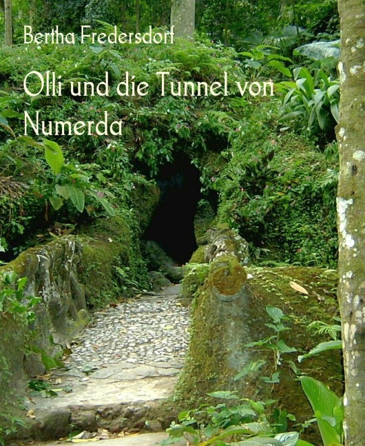 Olli und die Tunnel von Numerda - Bertha Fredersdorf