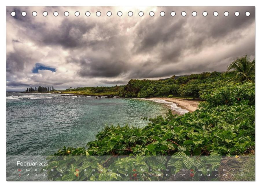 InsideView 7