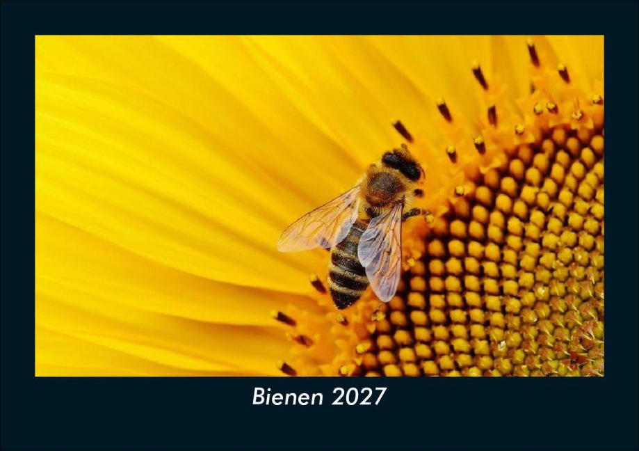 Bienen 2027 Fotokalender DIN A5 - Tobias Schmitt, Kevin Heber