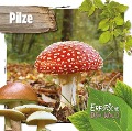 Cover-Bild zum Titel 'Pilze' von 'Robin Twiddy'