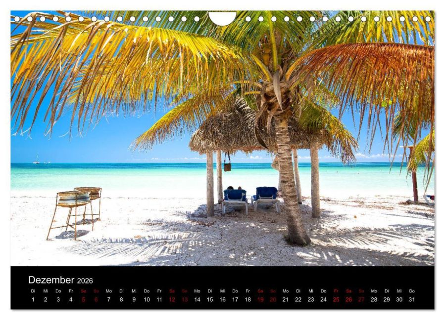 InsideView 4