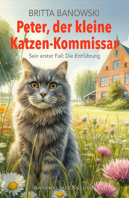 Peter, der kleine Katzen-Kommissar - Sein erster Fall: Die Entführung - Britta Banowski