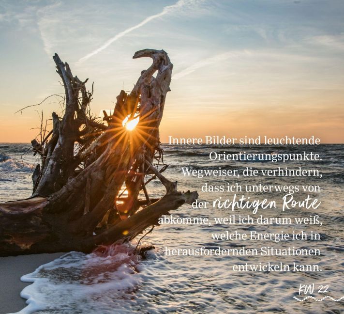 InsideView 11