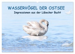 Wasservögel der Ostsee - Impressionen aus der Lübecker Bucht (Wandkalender 2026 DIN A2 quer), CALVENDO Monatskalender - Fotodesign Kathrin Lewandowski