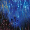Cover-Bild zum Titel 'Variables' von 'Alfa Mist'