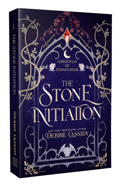The Stone Initiation - Debbie Cassidy