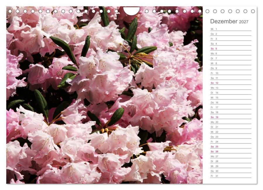 InsideView 4