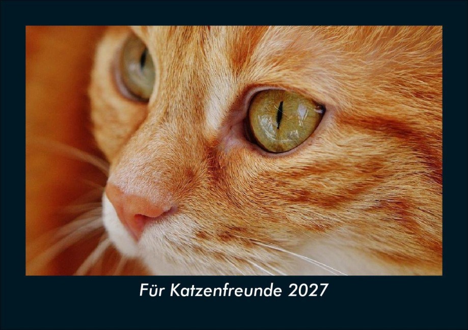 Für Katzenfreunde 2027 Fotokalender DIN A5 - Tobias Schmitt, Kevin Heber