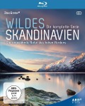 Cover-Bild zum Titel 'Wildes Skandinavien' von ''
