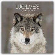 Wolves - Wölfe 2026 - 16-Monatskalender - Gifted Stationery Co. Ltd
