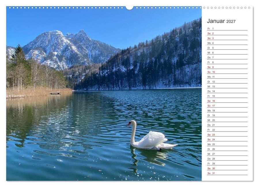 InsideView 6