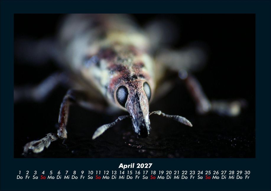 InsideView 8