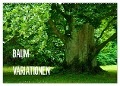 Baum-Variationen (Wandkalender 2025 DIN A2 quer), CALVENDO Monatskalender - Joachim Barig