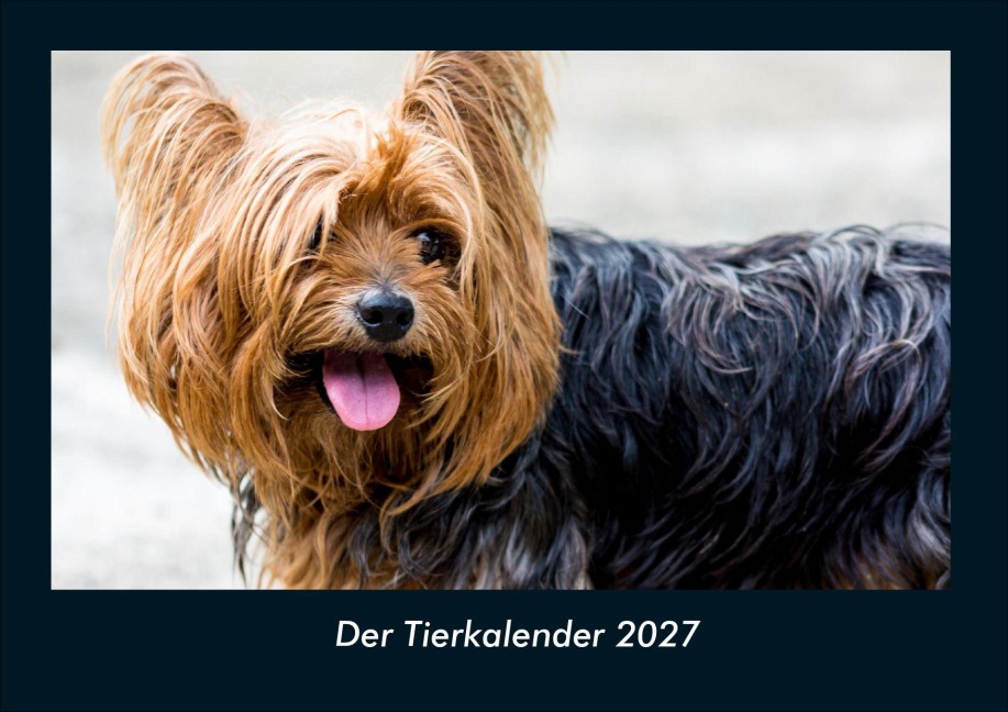 Der Tierkalender 2027 Fotokalender DIN A4 - Tobias Schmitt, Kevin Heber