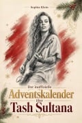 Cover-Bild zum Titel 'Der inoffizielle Adventskalender über Tash Sultana' von 'Sophia Klein'