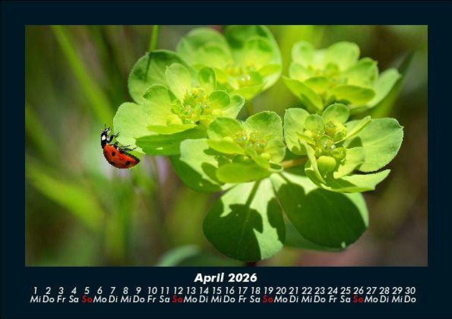 InsideView 8