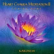 Heart Chakra Meditation Vol. 2 - Karunesh