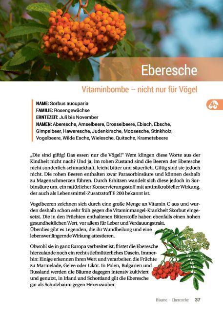 InsideView 10