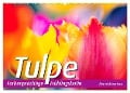 TULPE Farbenprächtige Frühlingsbotin (Wandkalender 2024 DIN A2 quer), CALVENDO Monatskalender - Bernd Maertens