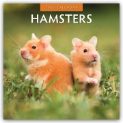 Hamsters - Hamster 2026 - 16-Monatskalender - Robin Red