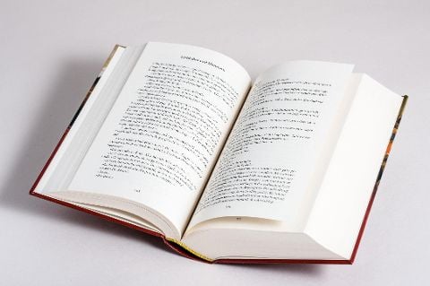 InsideView 6