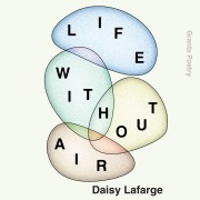Cover-Bild zum Titel 'Life Without Air' von 'Daisy Lafarge'