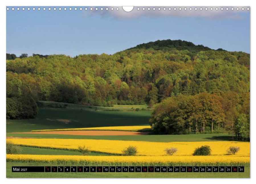 InsideView 10